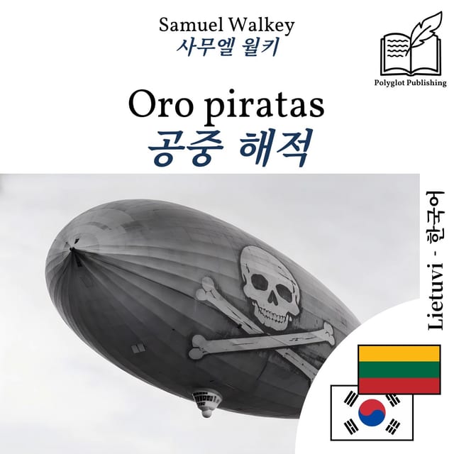 공중 해적