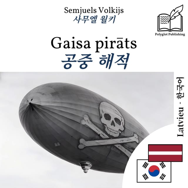 공중 해적