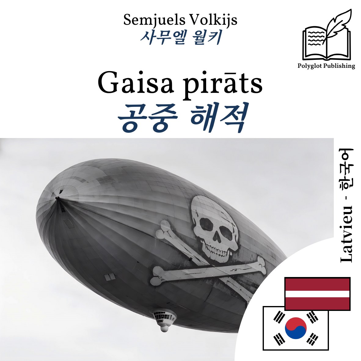 공중 해적