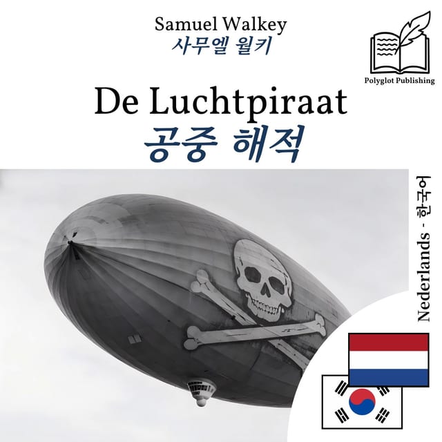 공중 해적