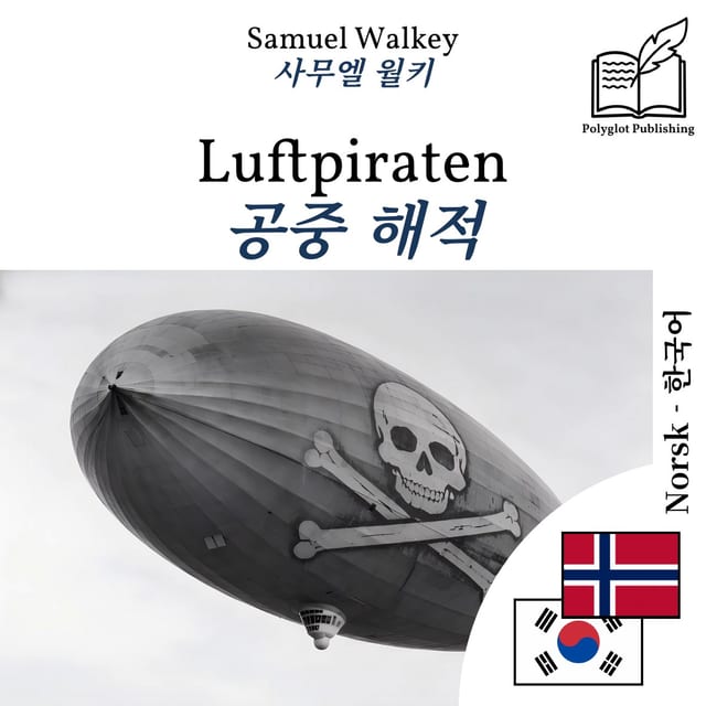 공중 해적