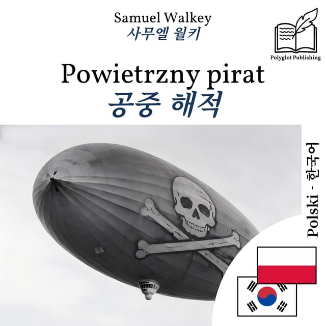 공중 해적