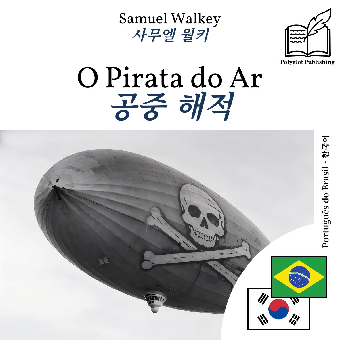 공중 해적