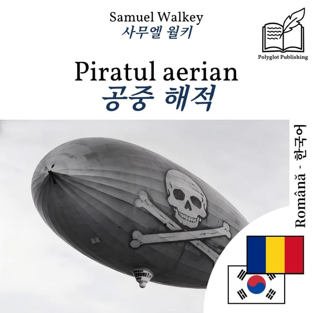공중 해적
