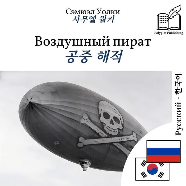 공중 해적