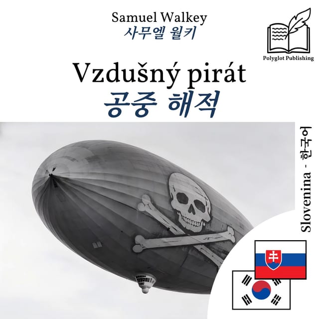 공중 해적