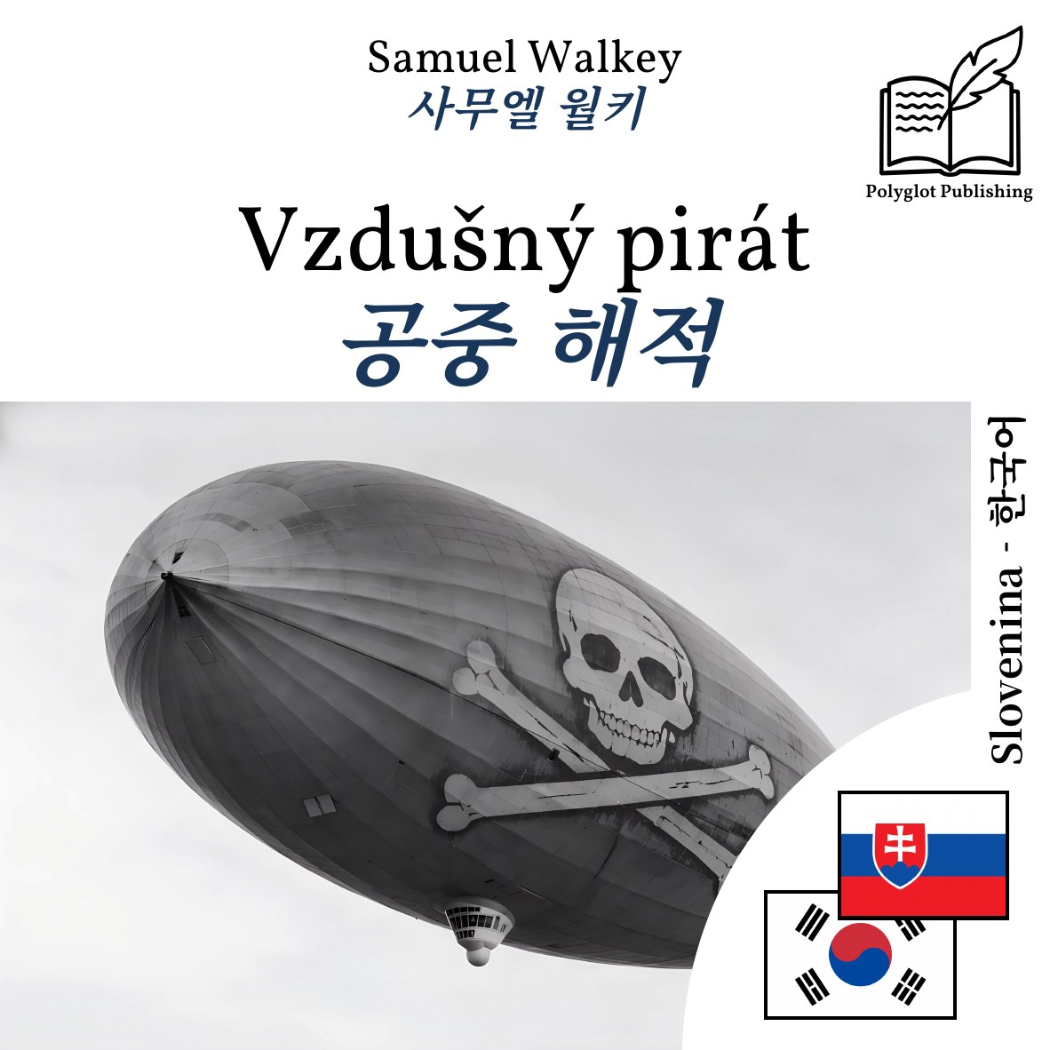 공중 해적