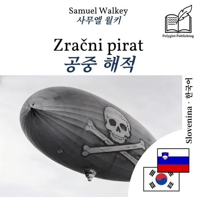 공중 해적