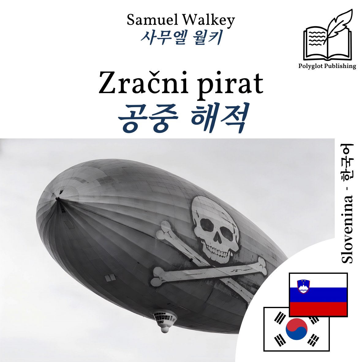 공중 해적