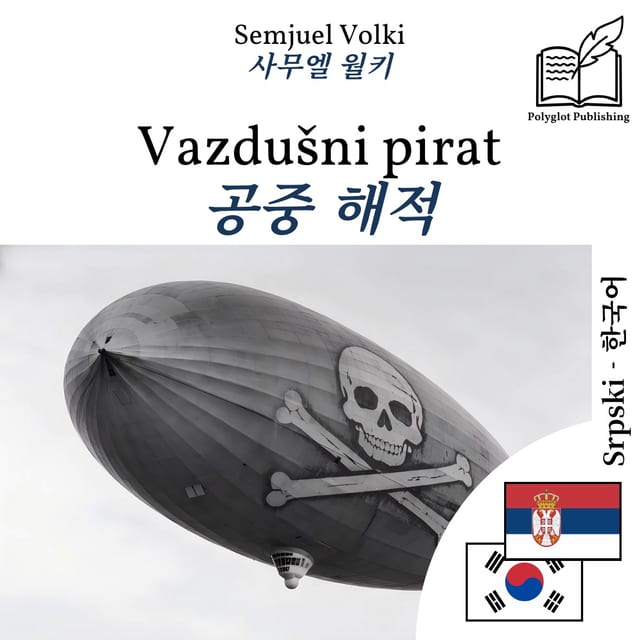 공중 해적