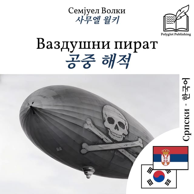 공중 해적