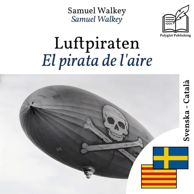 El pirata de l'aire