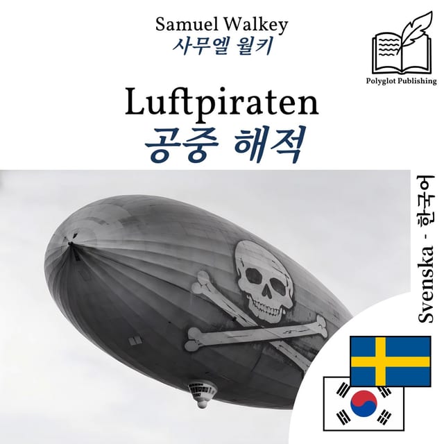 공중 해적