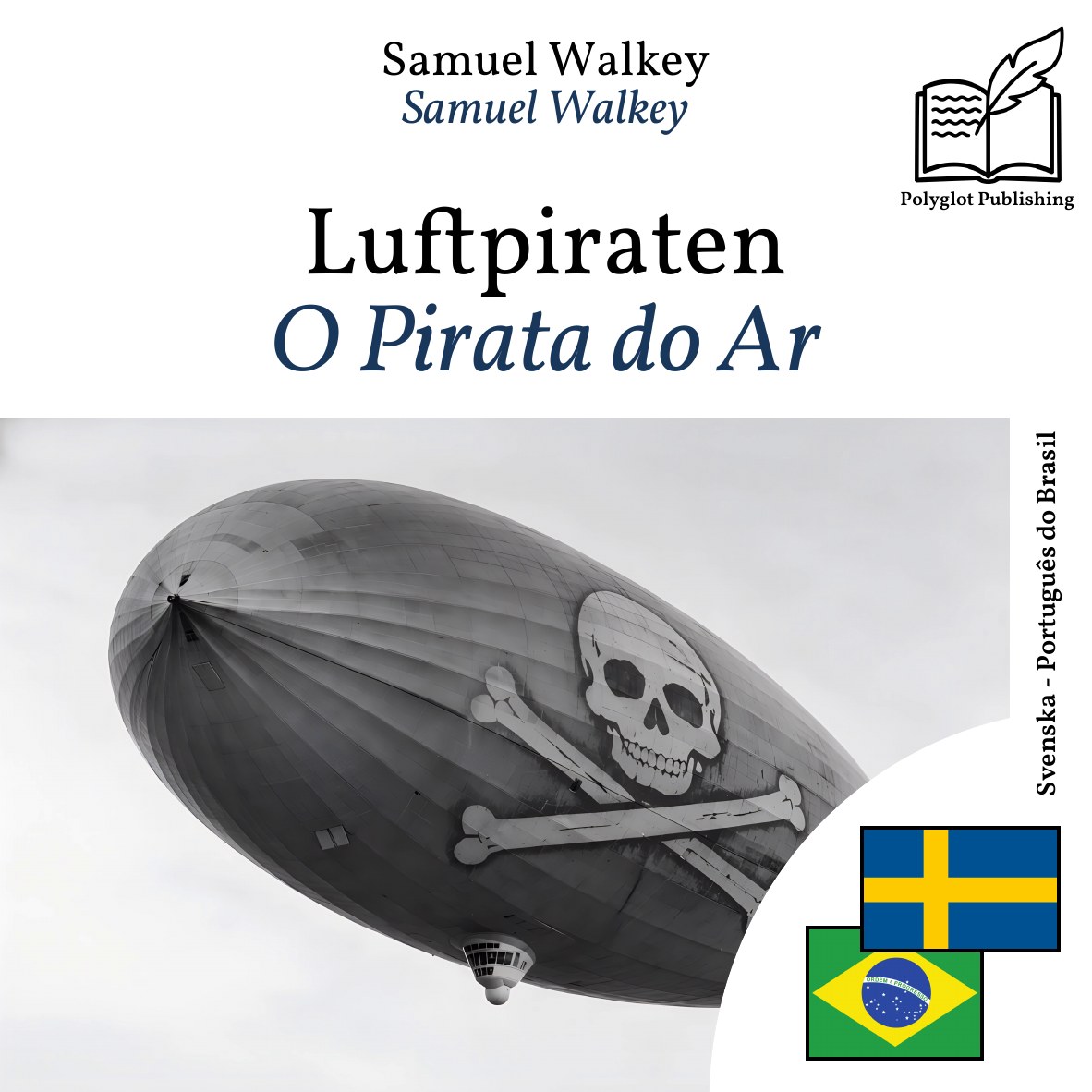 O Pirata do Ar