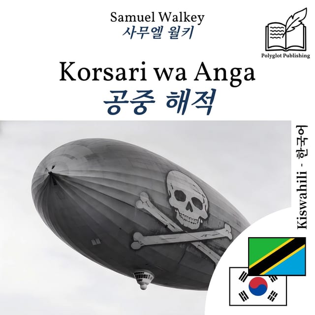 공중 해적
