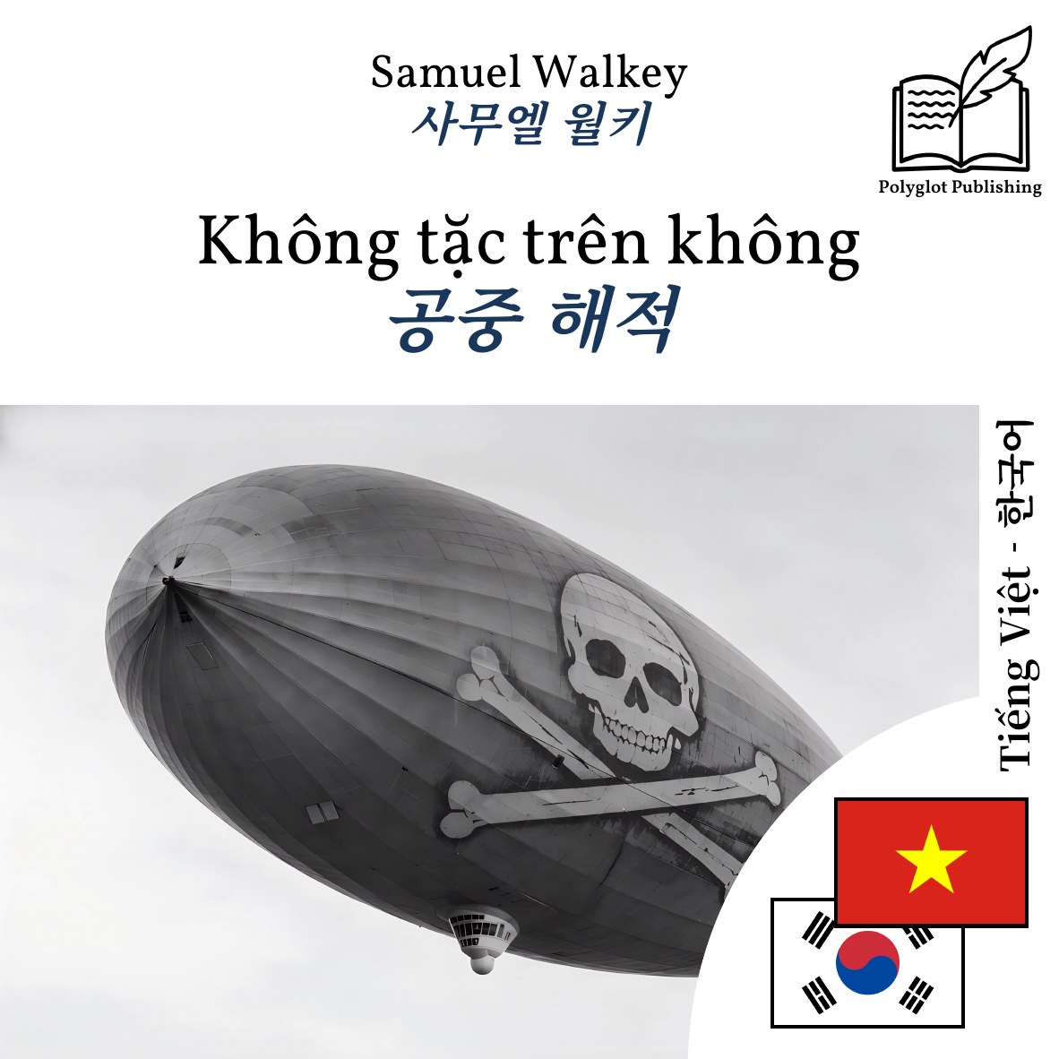 공중 해적