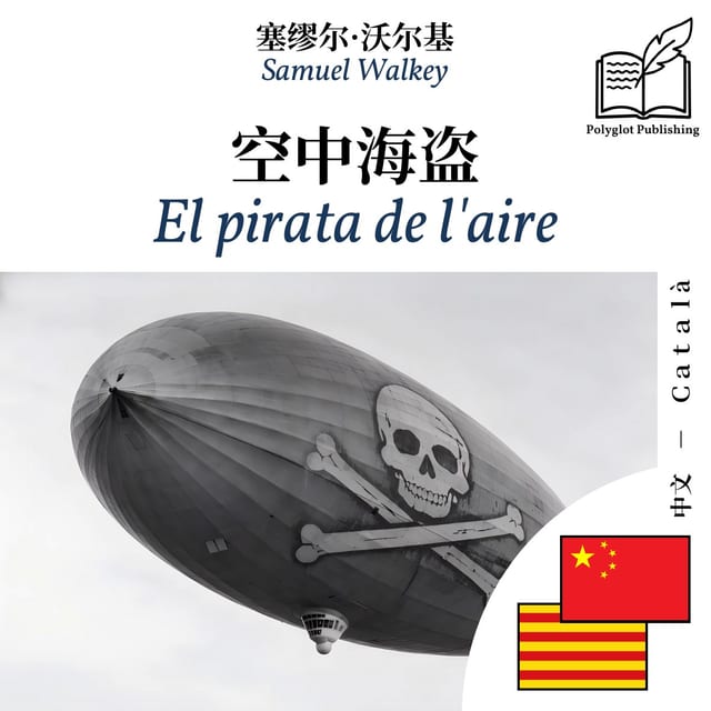 El pirata de l'aire