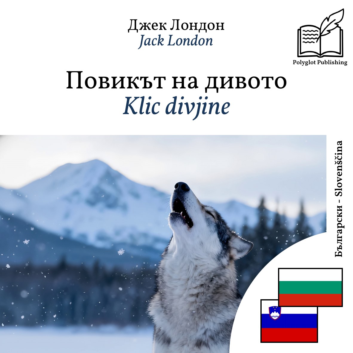 Klic divjine
