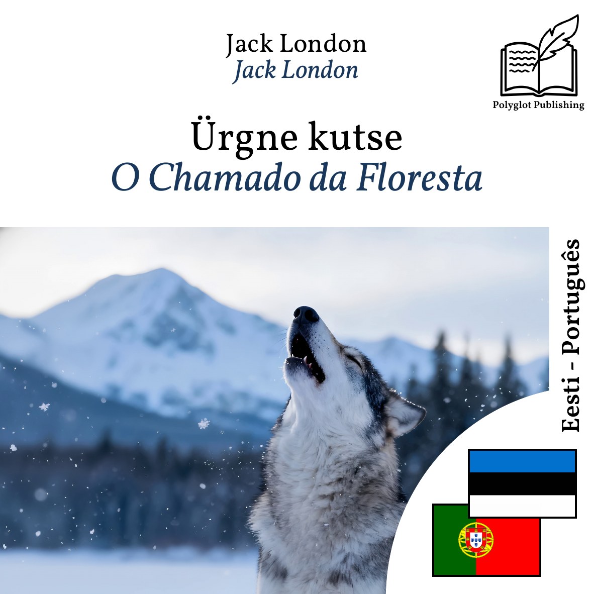 O Chamado da Floresta