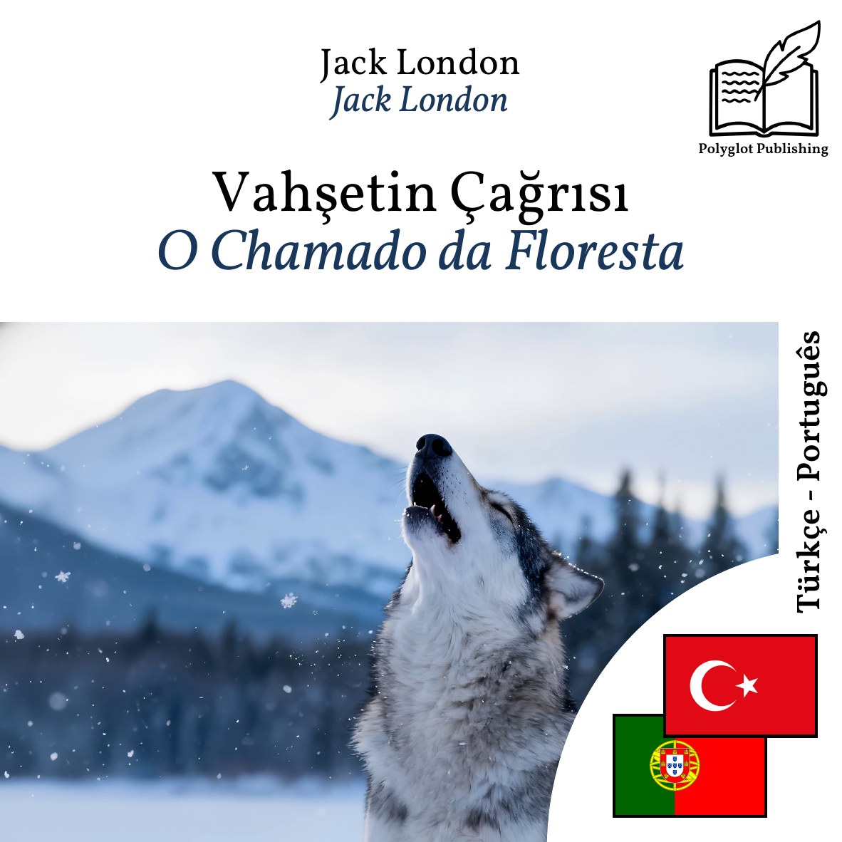 O Chamado da Floresta