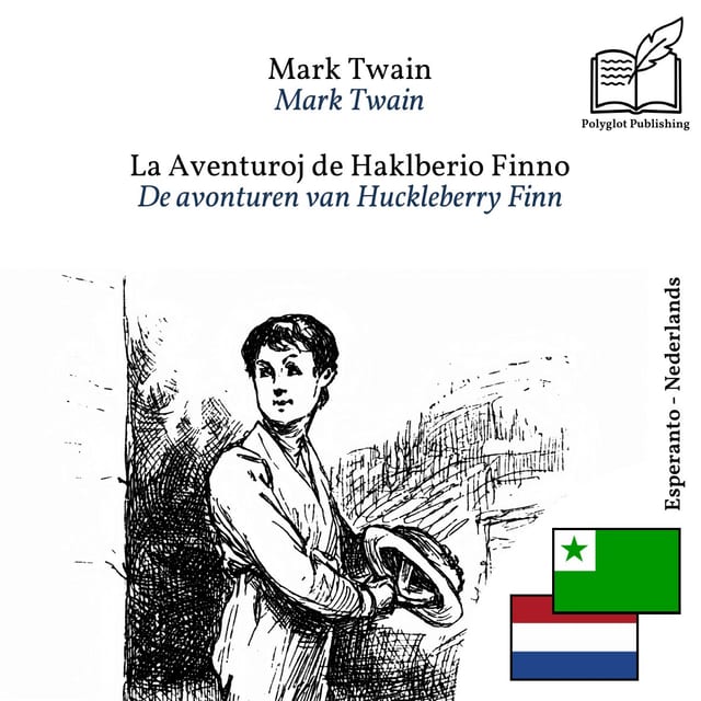 De avonturen van Huckleberry Finn