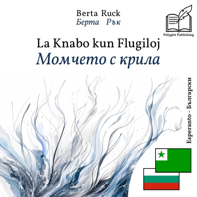 Момчето с крила