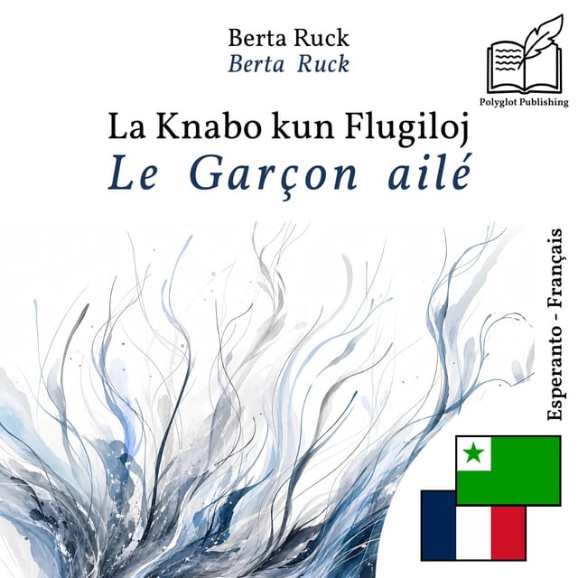 Le Garçon ailé