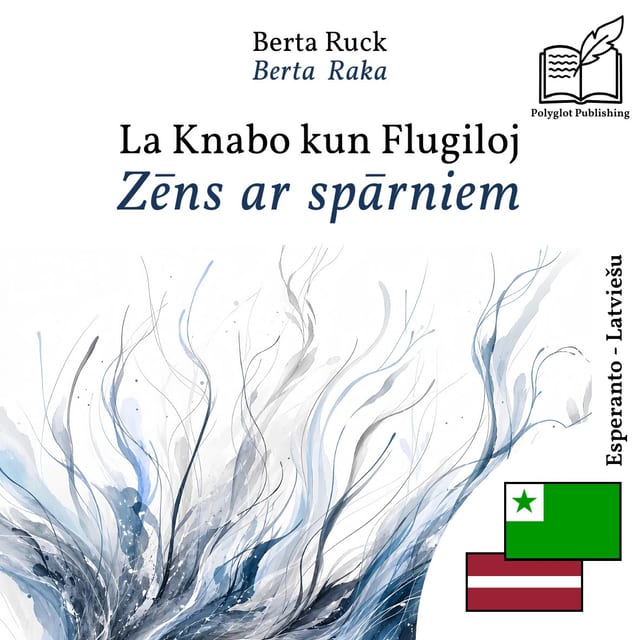 Zēns ar spārniem