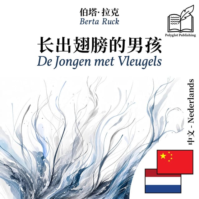 De Jongen met Vleugels