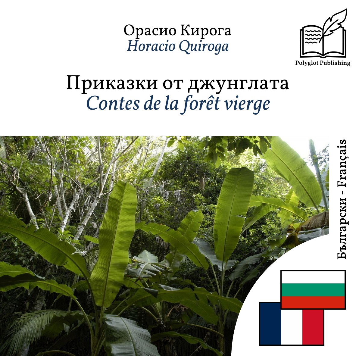 Contes de la forêt vierge