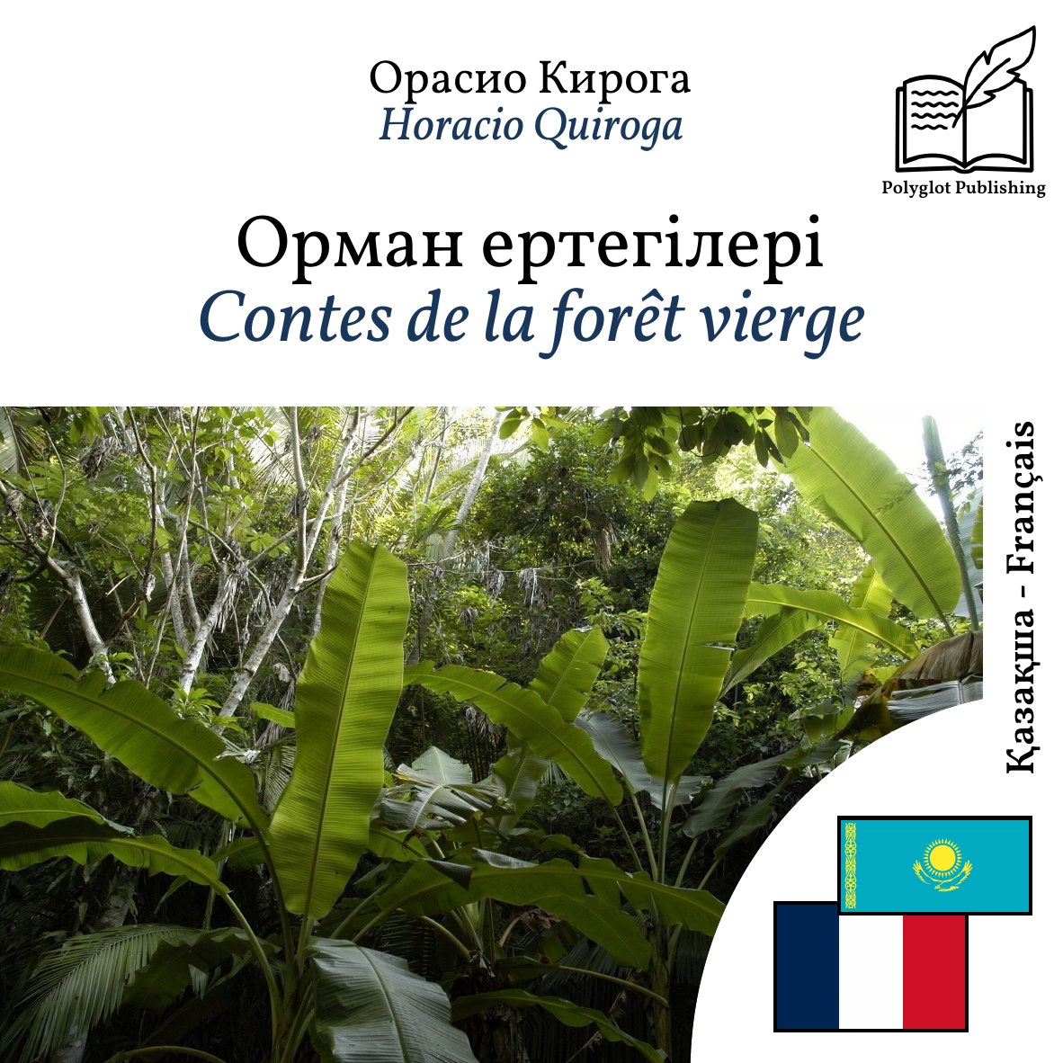 Contes de la forêt vierge