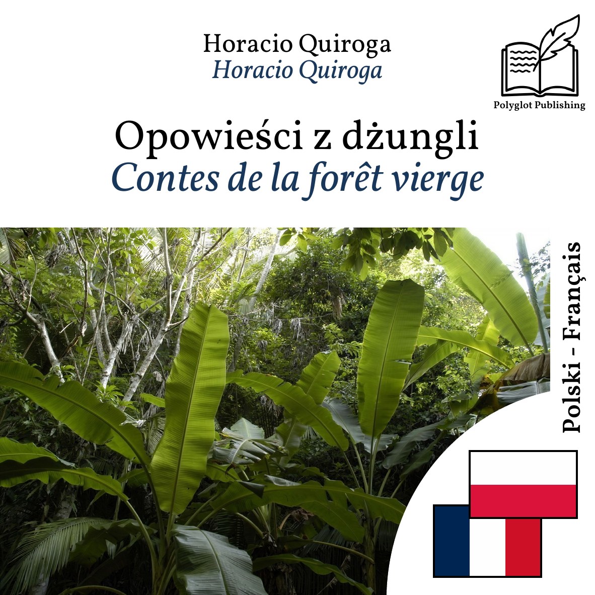 Contes de la forêt vierge