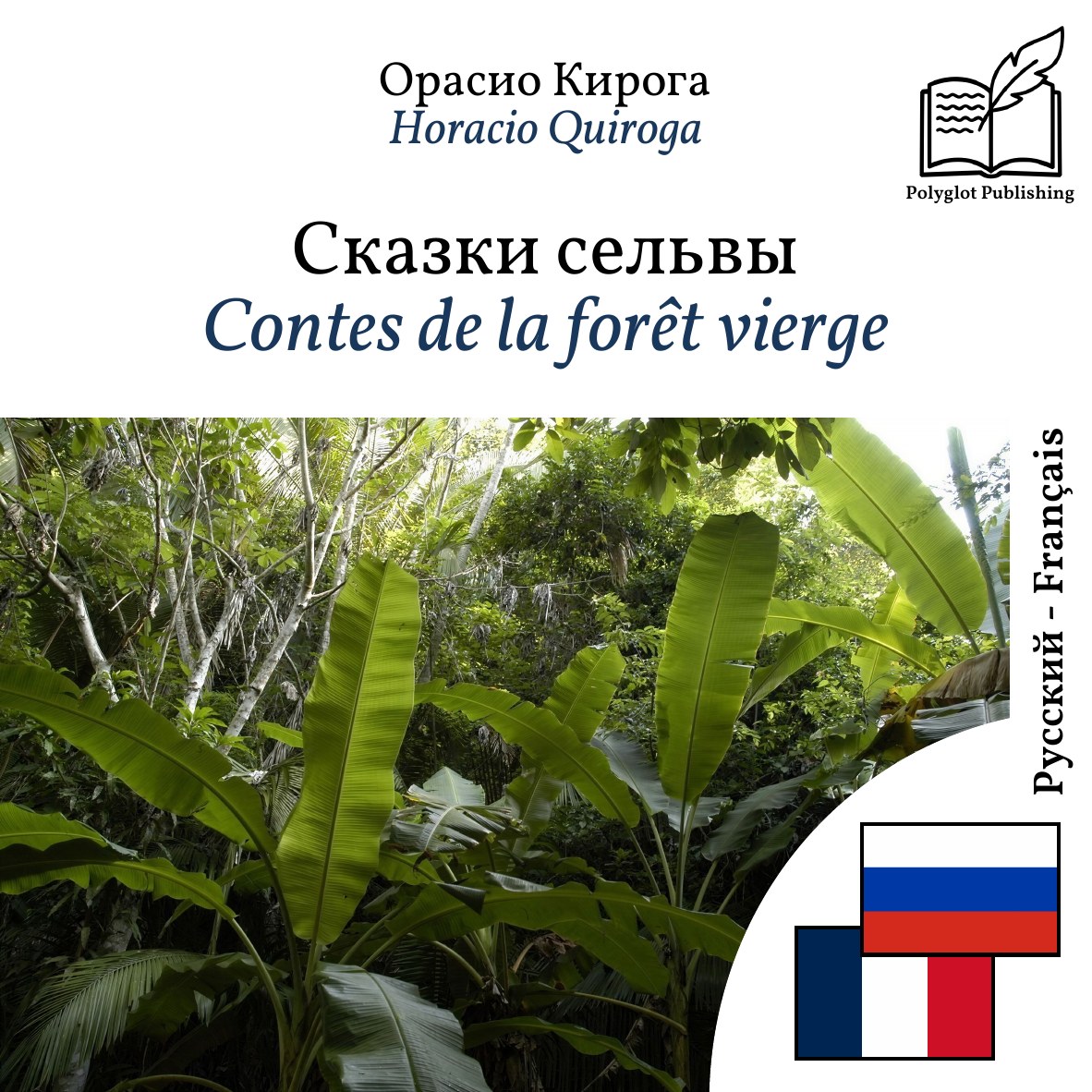 Contes de la forêt vierge