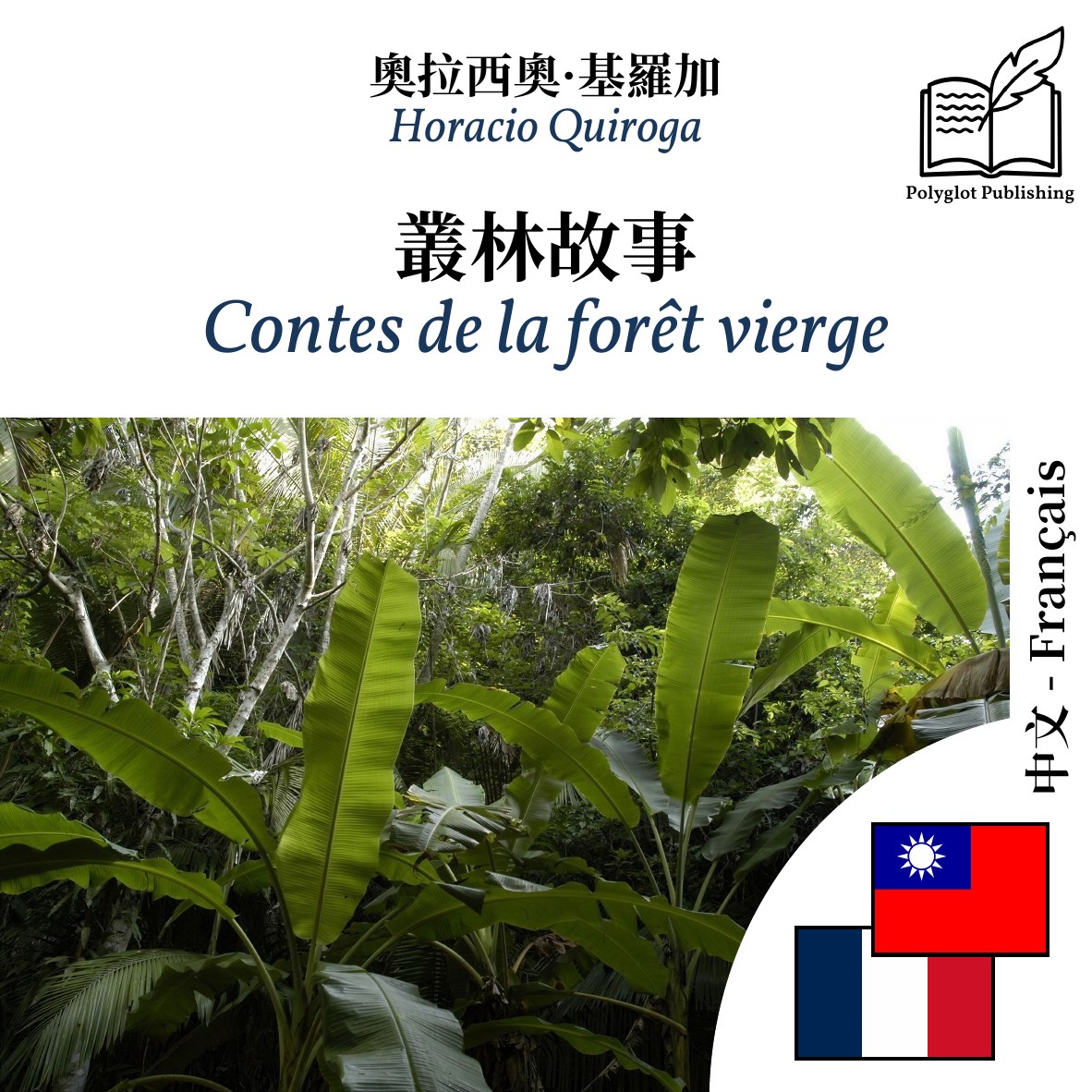 Contes de la forêt vierge
